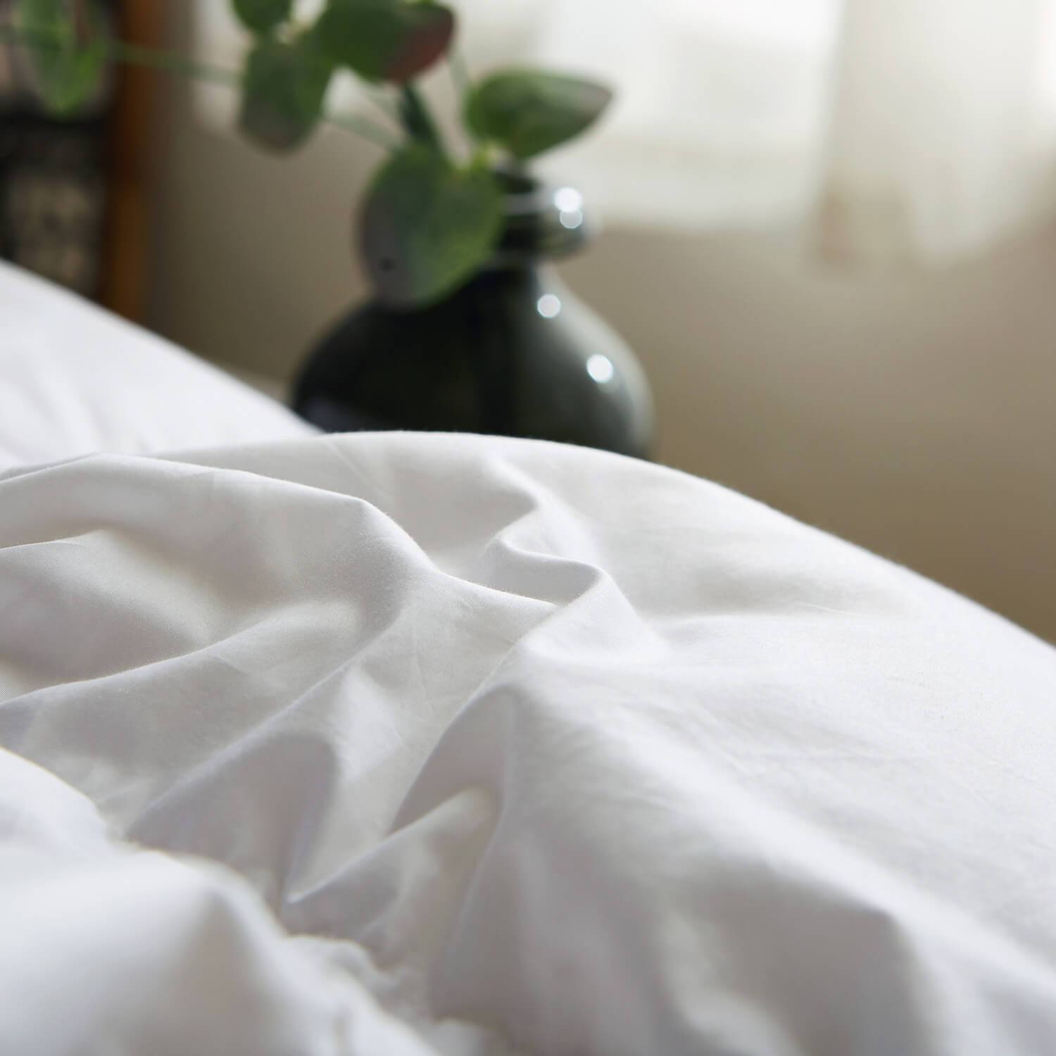 Globon Fusion White Goose Down Comforter for Winter Heavy Warmth