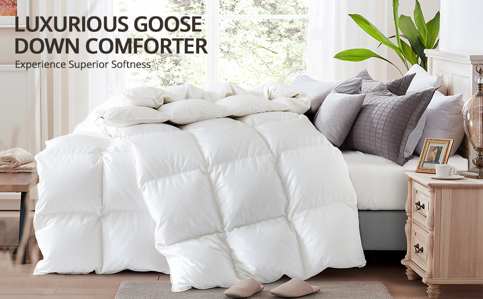 Winter Comforters